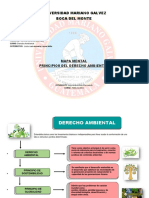 Principios Del Derecho Ambiental