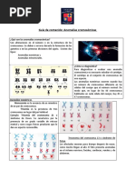 Guia Anomalias Cromosomicas