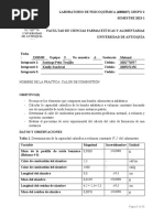 Informe Calor de Combustión