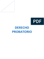 Apuntes Derecho Probatorio