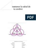 Cómo Mantener La Salud de Tu Cerebro