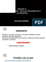 Semana 5 Tipos Celulares