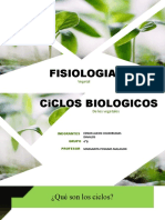 Fisiologia Vegetal Corregida