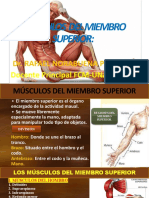 Musculos Del Miembro Superior