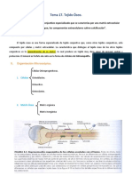 Tema 17 (Tejido Óseo)