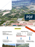 Las Actividades Agropecuarias y Forestales