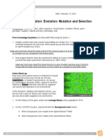 Assignment EvolutionMutationSelection