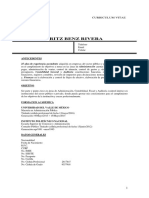 Curriculum Vitae Contador Ejemplo