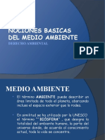 Medio Ambiente