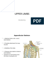 Upper Limb