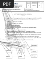 Atividade Avaliativa - Construção de Banco de Dados-Respondida