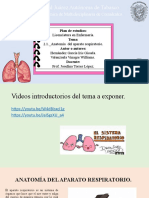 E5 - Sistema Del Aparato Respiratorio.