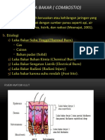 Luka Bakar Combostio Selvia