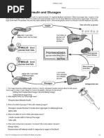 Vion - Feed Back Loops