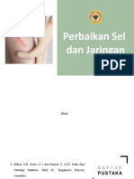 Perbaikan Sel Dan Jaringan