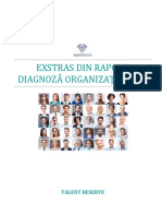 Exemplu Raport Diagnoza Organizationala