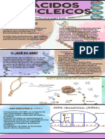 Infografía Bioquímica