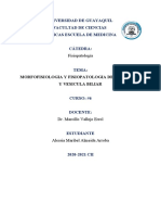 Morfofisiologia y Fisiopatologia Del Pancreas y Vesicula Biliar