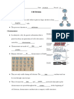 Kami Export - Cell Cycle Notes and Vocab