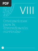 Viii. Orient. Diversificación Curricular