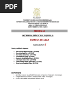 Sem 5 - Tarea 5 - Informe de Practica - 2020-IIgab