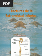 Clase 4 Kinesiopatologia L FX Extremidad Inferior 2023