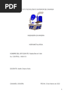 Investigación Fundamentos de Hidrometalurgia Gil