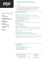 Felipe MP CV PDF