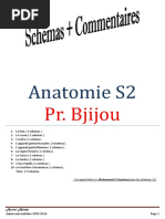 1 - Anatomie S2 Prof Bjijou 2