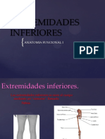 Extremidades Inferiores