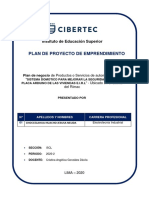 Estructura Del Proyecto de Emprendimiento Jesusa Choccelahua