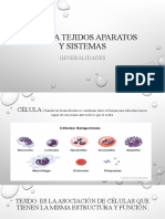 Célula Tejidos Aparatos y Sistemas