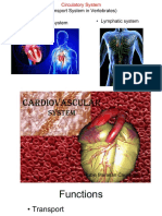 14 Circulatory System 2021