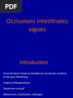 Occlusions Intestineles Aigues