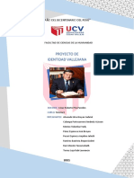 Proyecto de Identidad Vallejiana - Grupo 2