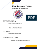 Avance Informe