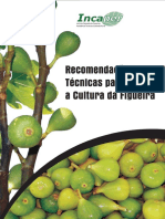 Recomendacoes-Tecnicas-Sobre-Cultura-Figueira Bom