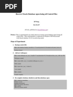 Recover Oracle Database Upon Losing All Control Fi
