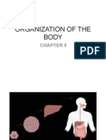 Organization of The Body 1 1