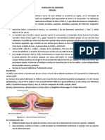 HERNIAS