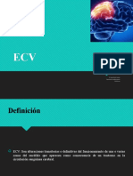 Ecv DR Guzman Actualizada