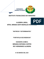 Esponda Cortés Miranda - Rey Hernandez Alondra - Portafolio de Evidencias