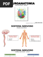 Neuroanatomia - Guia de Estudo - Básico