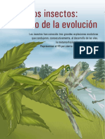 Los Insectos Exito Evolucion 2003