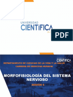 Histo Sesión6 Práctica Cerebelo