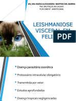 2 - Leishmaniose Felinos (Male Jun 2o17)