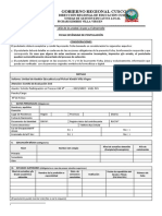 Ficha y Anexo Estandar de Postulacion Cas 002 2023