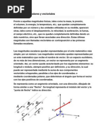 Magnitudes Escalares y Vectoriales