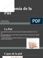 Anatomia de La Piel