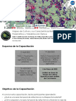 CropMonitoring 2022 Part4 Final Span 0